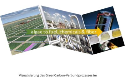 GreenCarbon: Nachhaltige Carbonfasern auf der Basis von Algen – AHP lieferte die TEA/LCA
